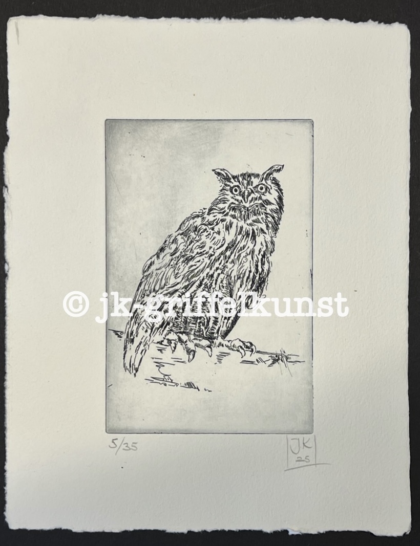 Originalradierung  Eule