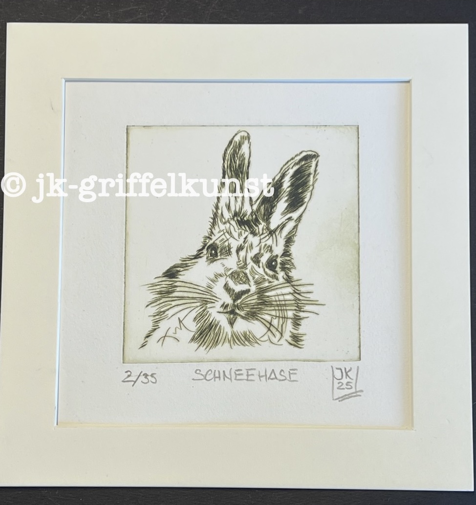 Originalradierung Schneehase Norwegen