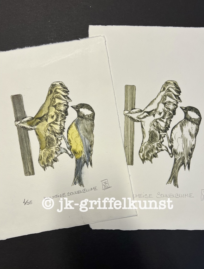 Originalradierung Kohlmeise Sonnenblume