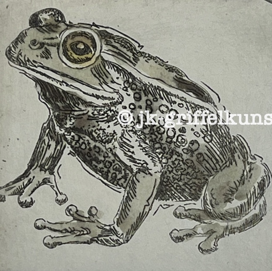 Originalradierung Frosch