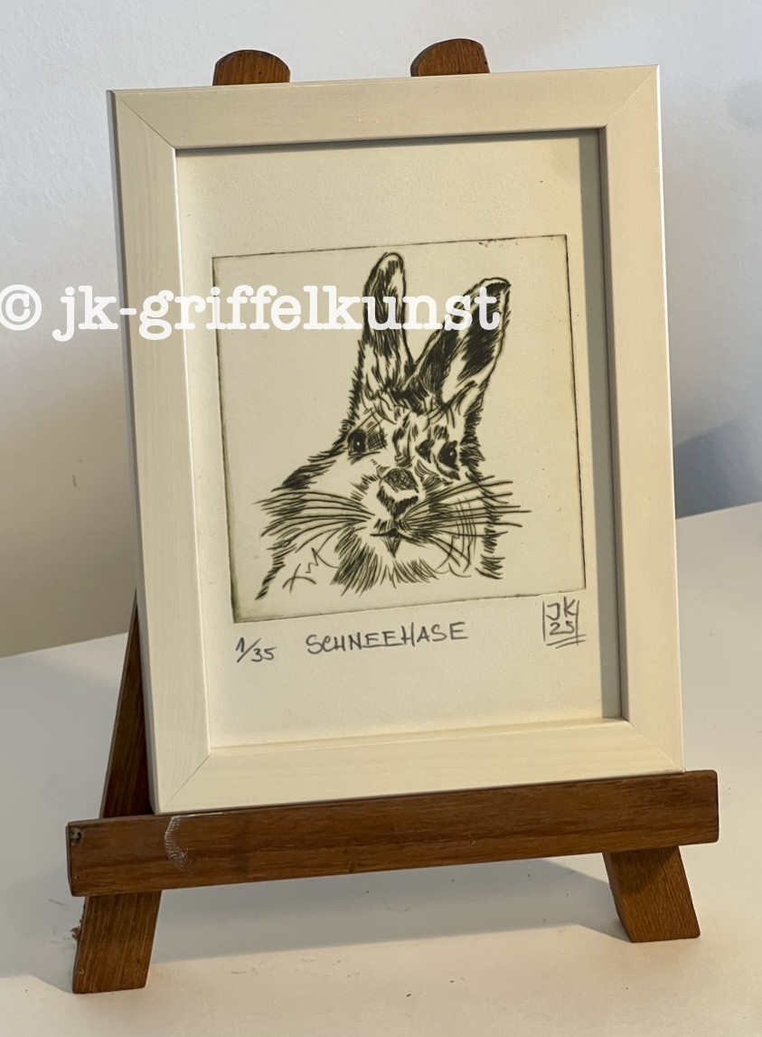 Originalradierung Schneehase Norwegen