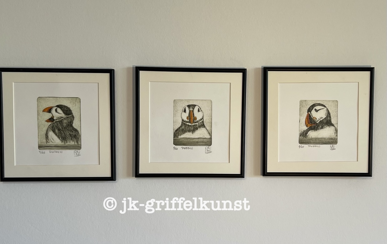 Originaradierung Puffin (Papageientaucher) B