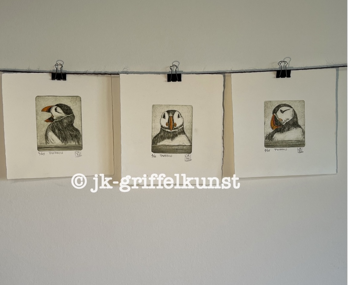 Originaradierung Puffin (Papageientaucher) A