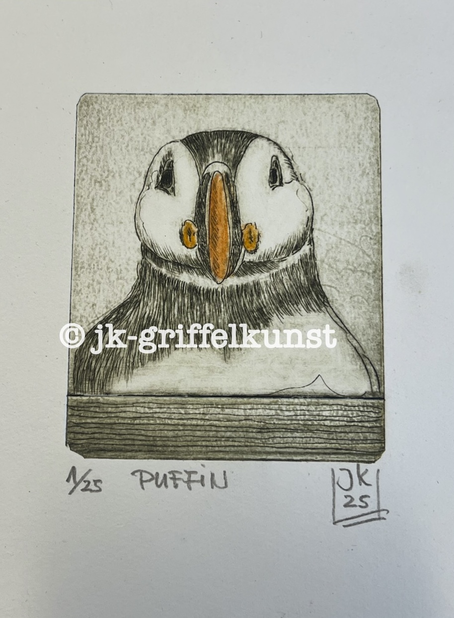 Originaradierung Puffin (Papageientaucher) C