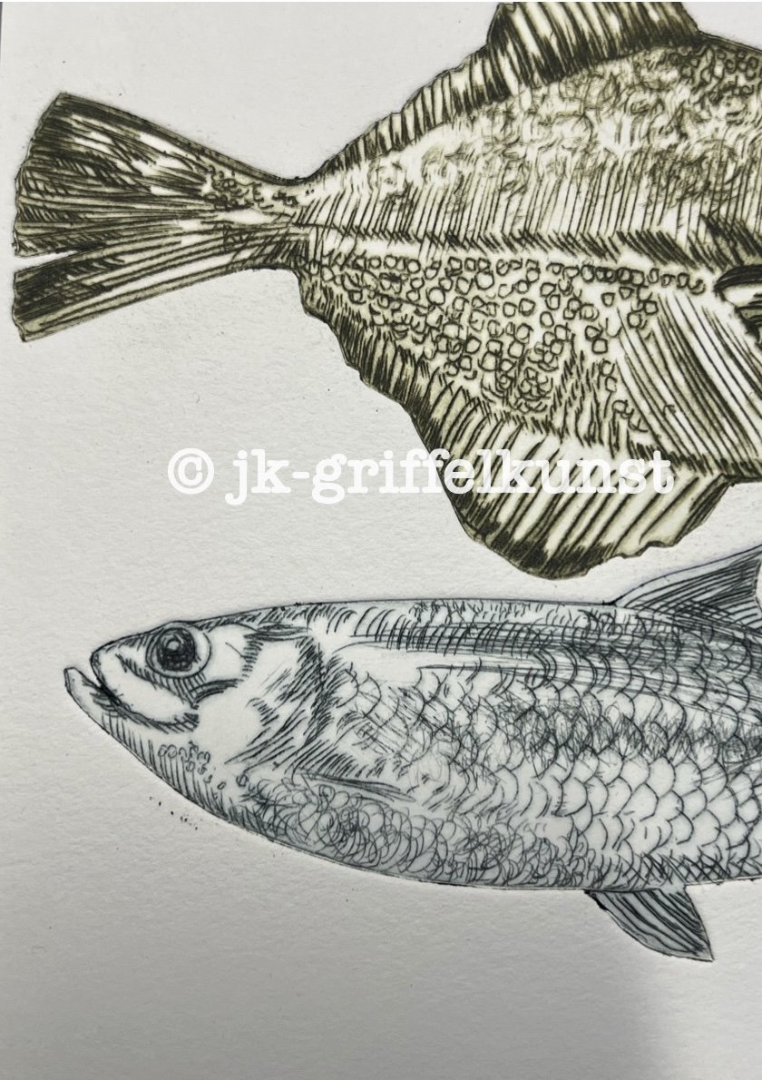 Originalradierung Fische