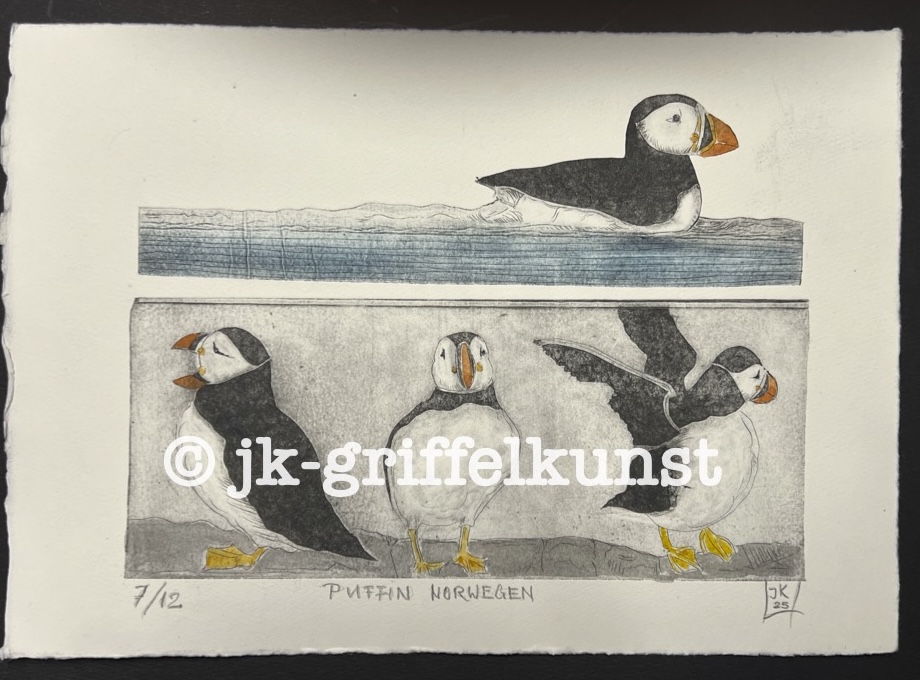Originaradierung Puffins Norwegen