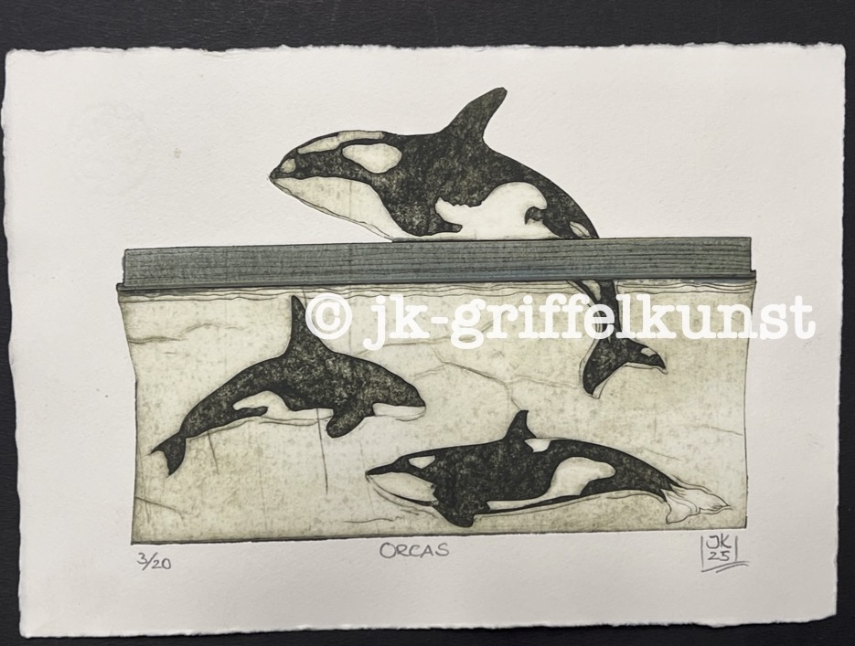 Originaradierung Orcas