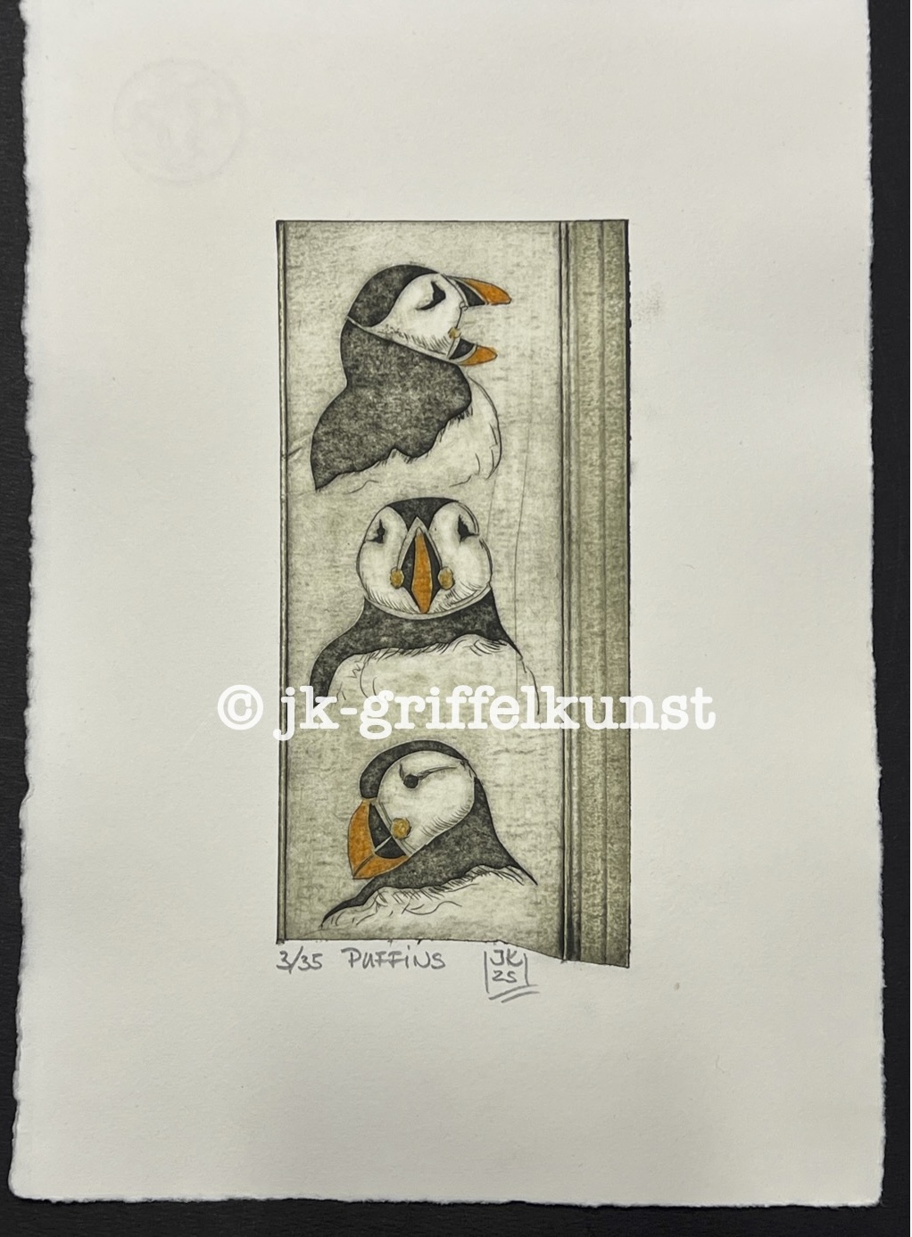 Originalradierung Puffins ( Papageientaucher)