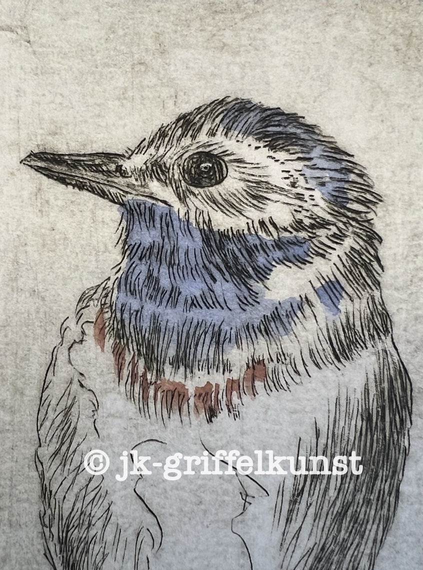 Originalradierung Blaukehlchen