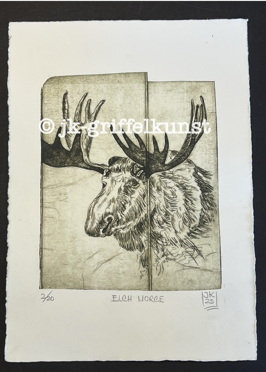 Originalradierung Elch Norge