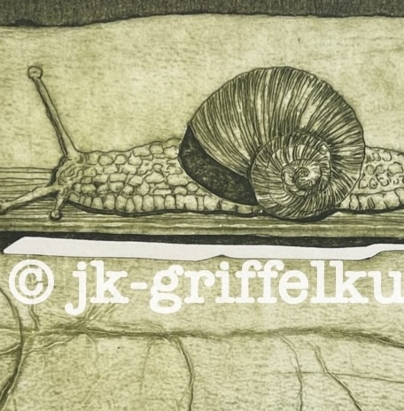 Originalradierung Schnecke