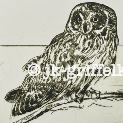 Originalradierung Schneeeule