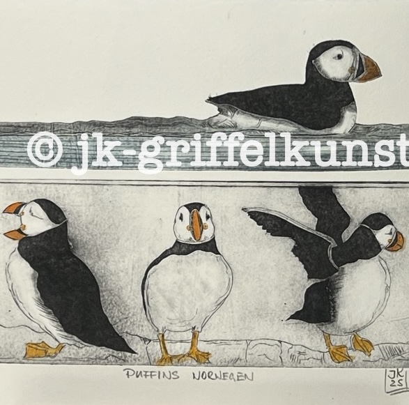 Originaradierung Puffins Norwegen