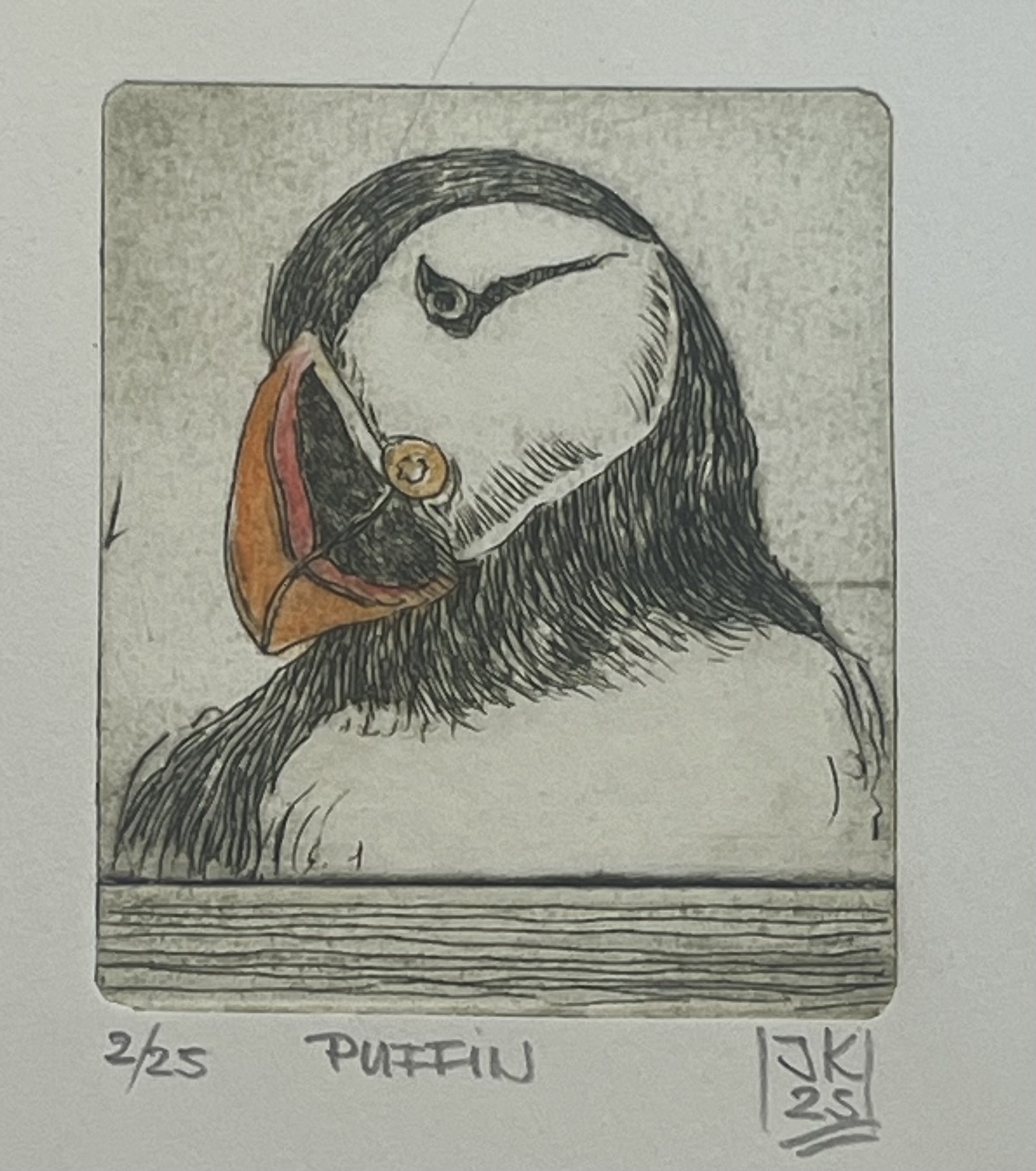 Originaradierung Puffin (Papageientaucher) A