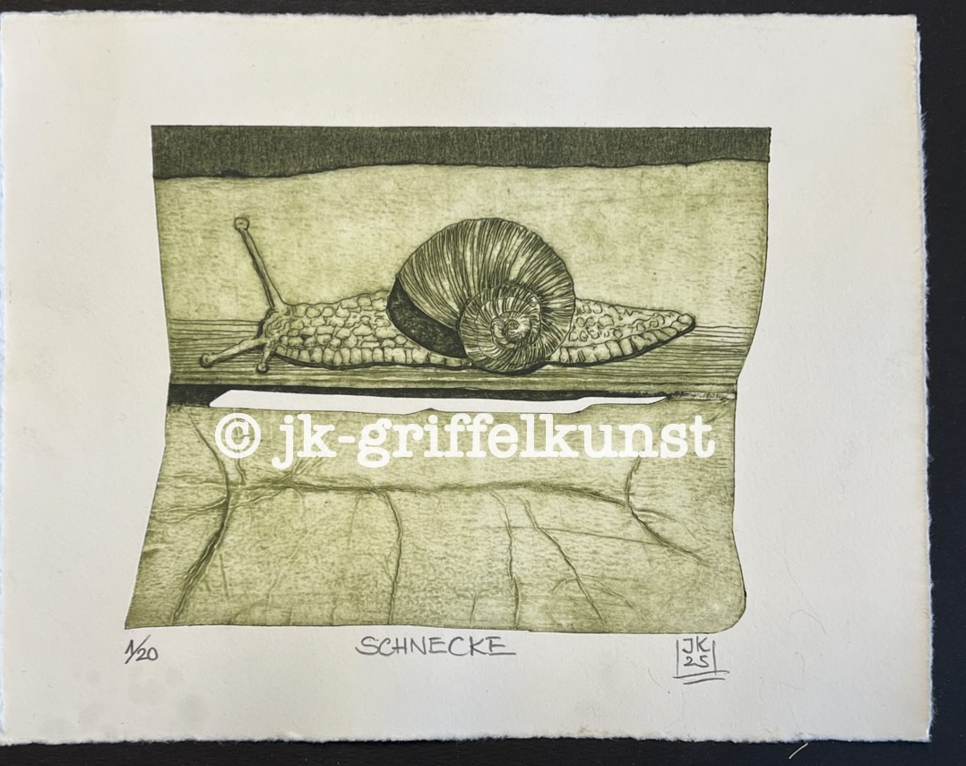 Originalradierung Schnecke