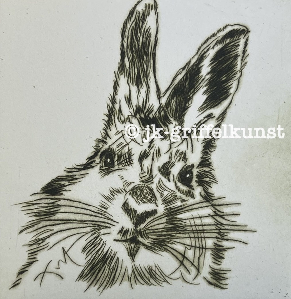 Originalradierung Schneehase Norwegen