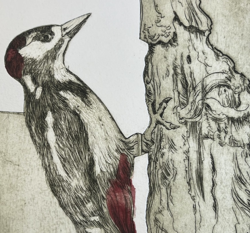 Originalradierung Buntspecht