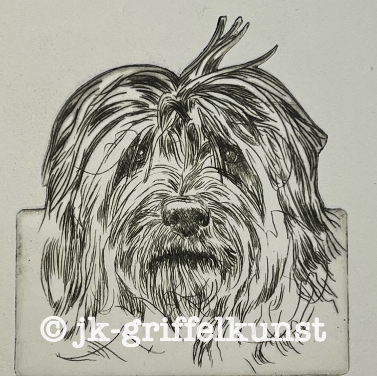 Originalradierung  Gos d’Atura Català l