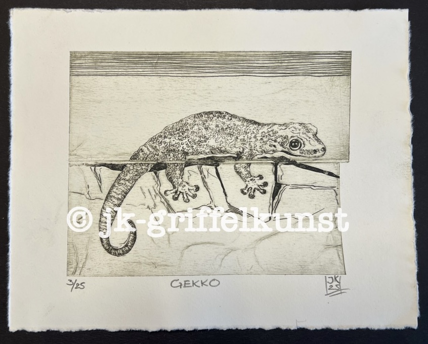 Originalradierung Gekko