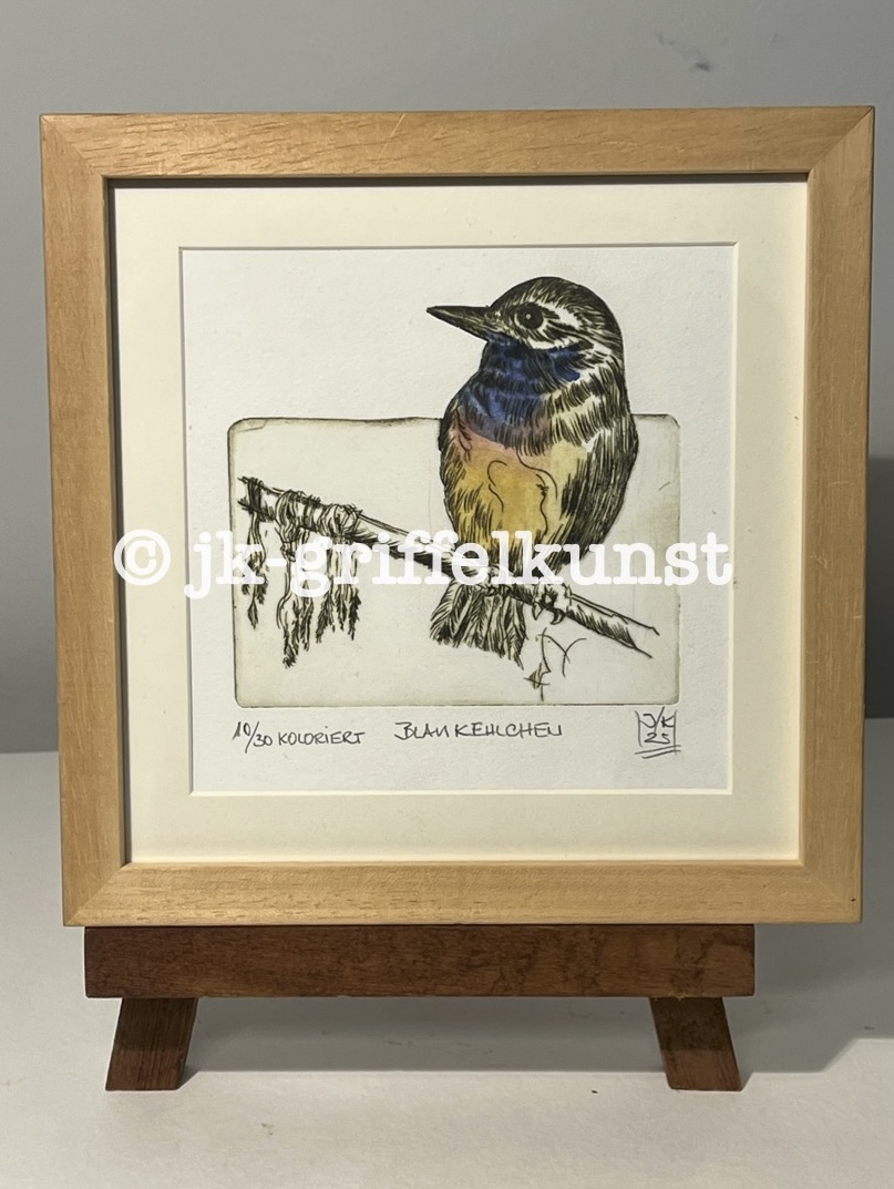 Originalradierung Blaukehlchen ll