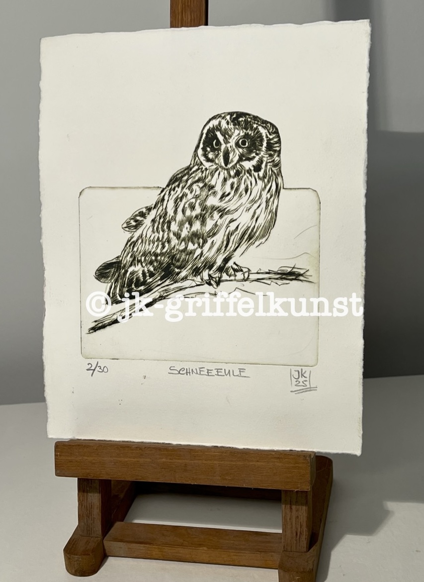 Originalradierung Schneeeule