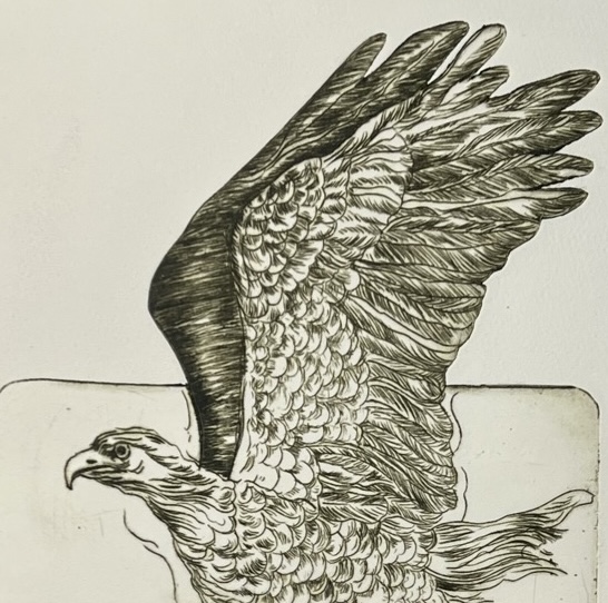 Originalradierung Seeadler
