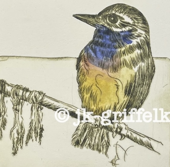 Originalradierung Blaukehlchen ll