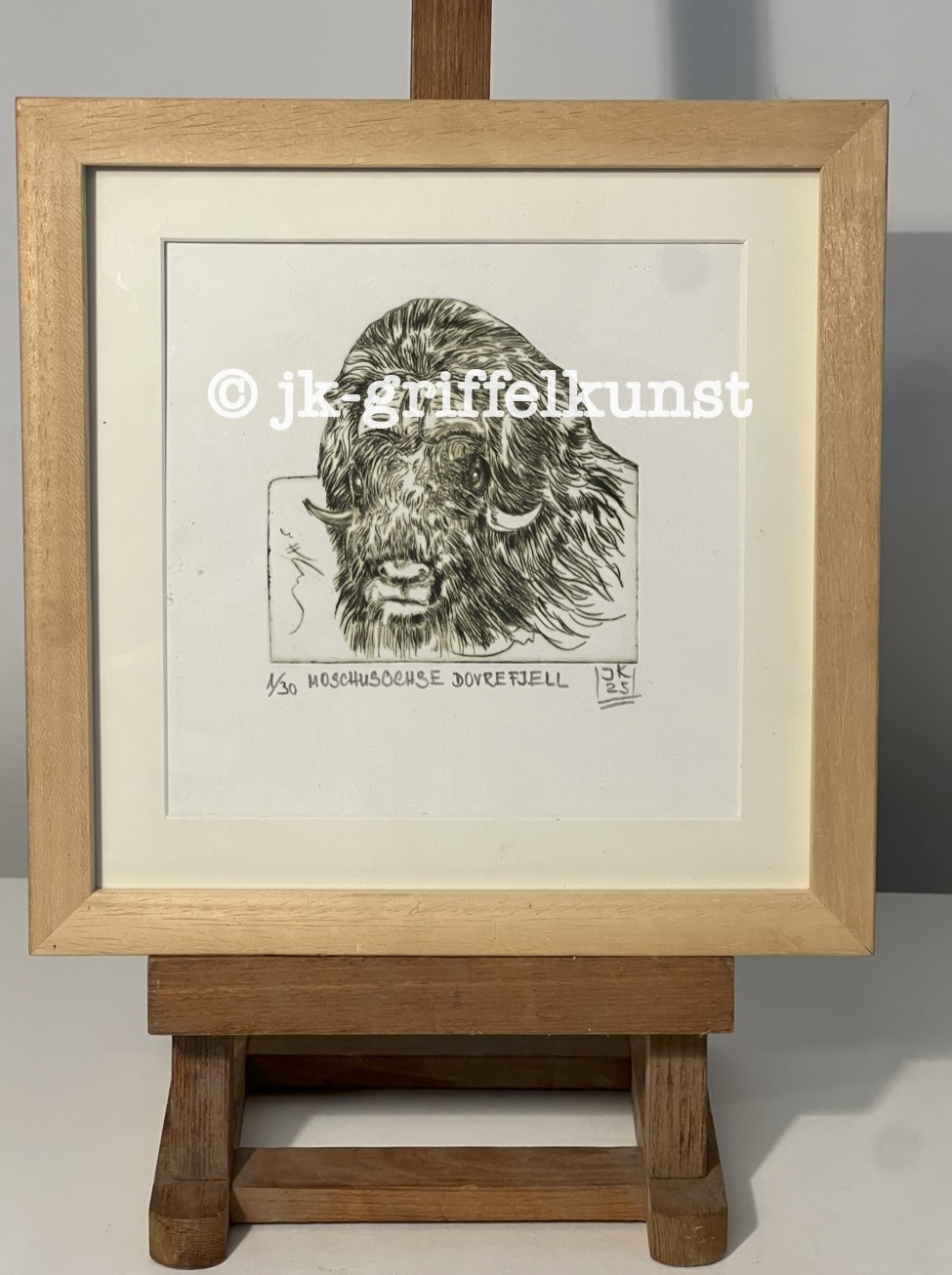 Originalradierung Moschusochse Dovrefjell Nationalpark