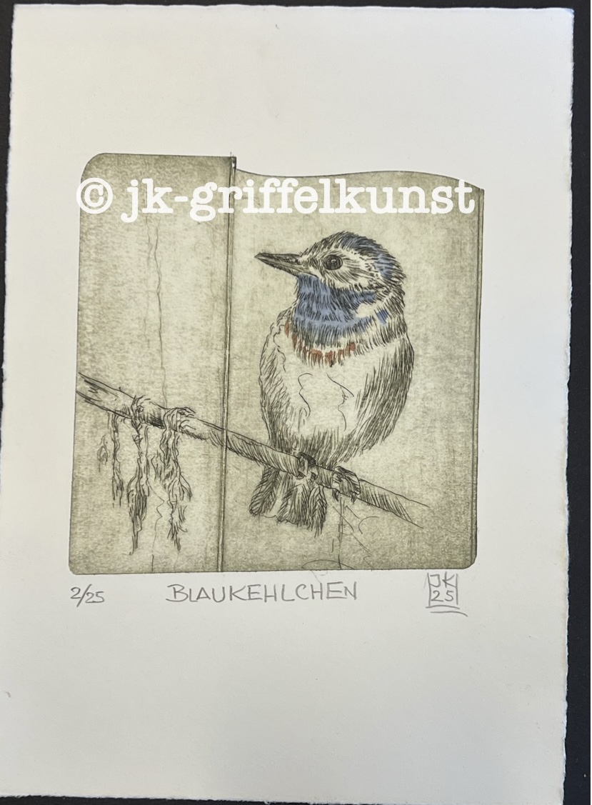 Originalradierung Blaukehlchen