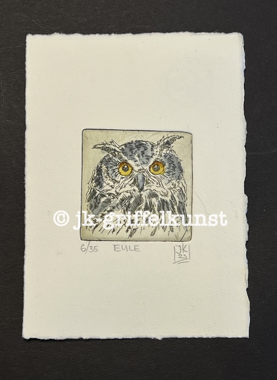 Originalradierung Eule