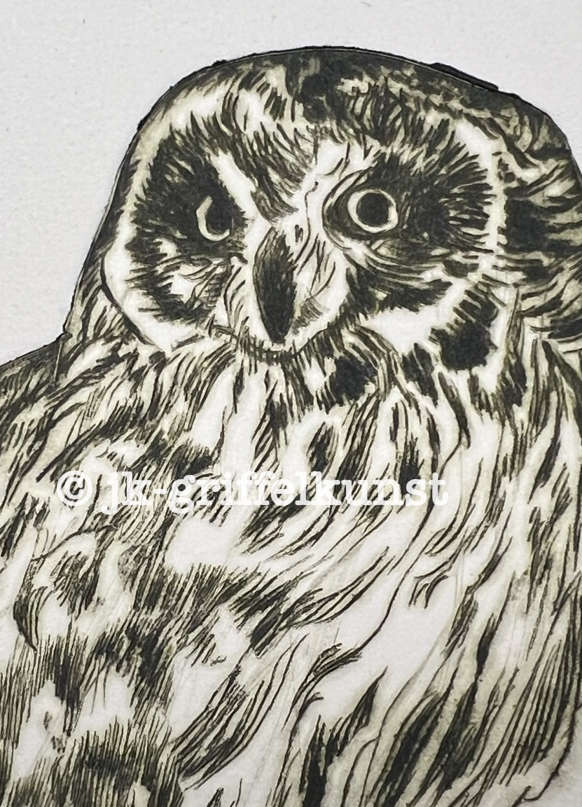 Originalradierung Schneeeule