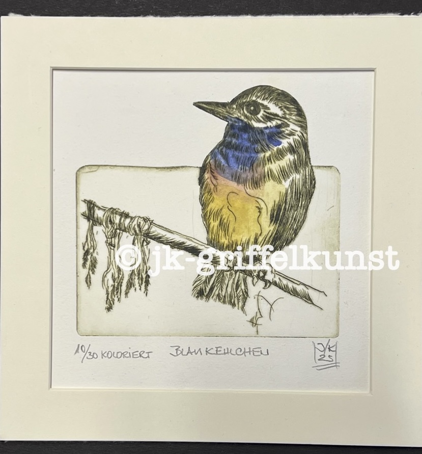 Originalradierung Blaukehlchen ll