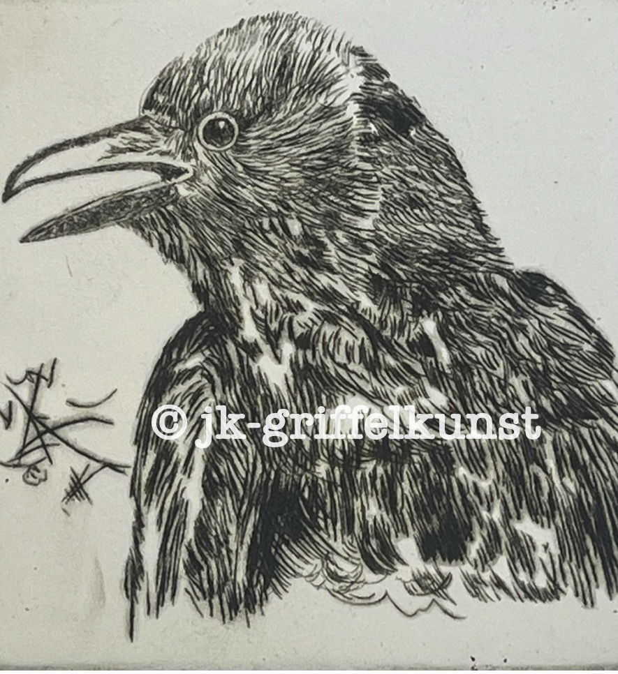 Originalradierung Krähe