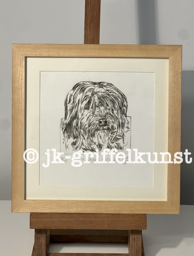 Originalradierung  Gos d’Atura Català lll