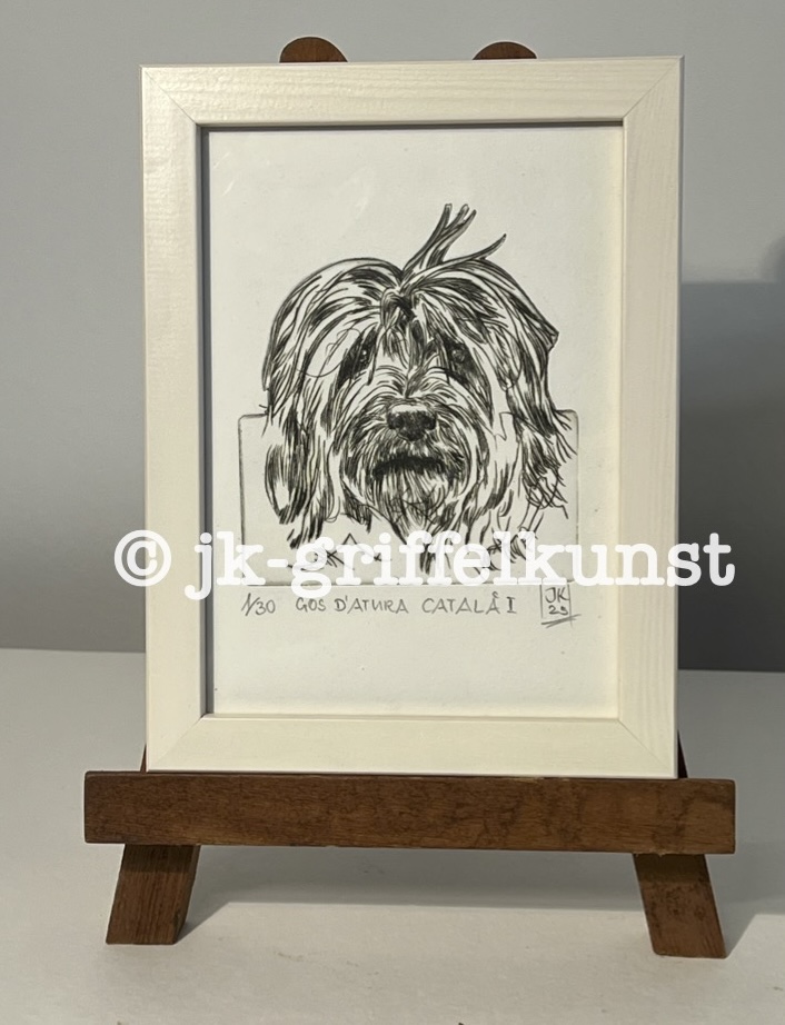 Originalradierung  Gos d’Atura Català l