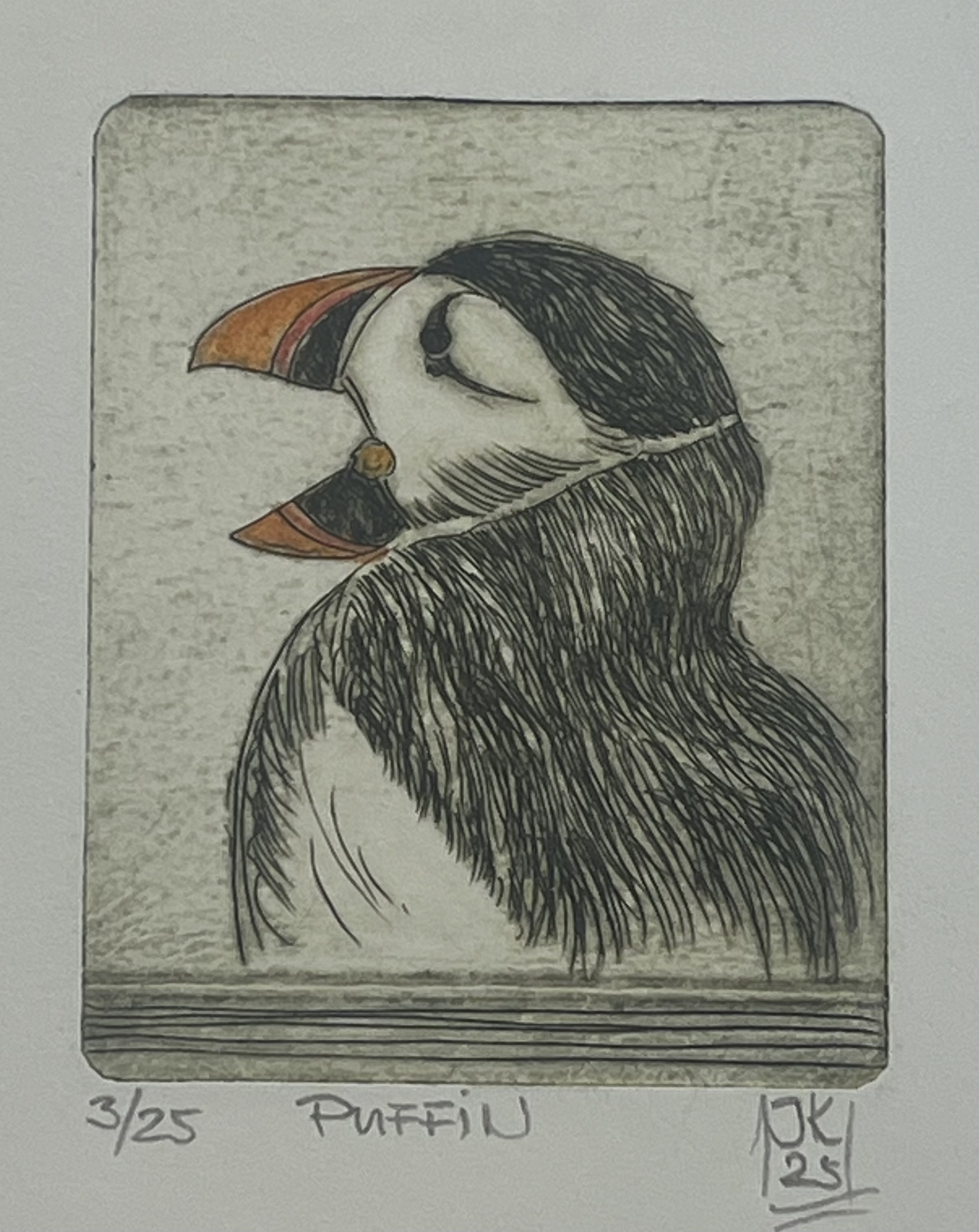 Originaradierung Puffin (Papageientaucher) B