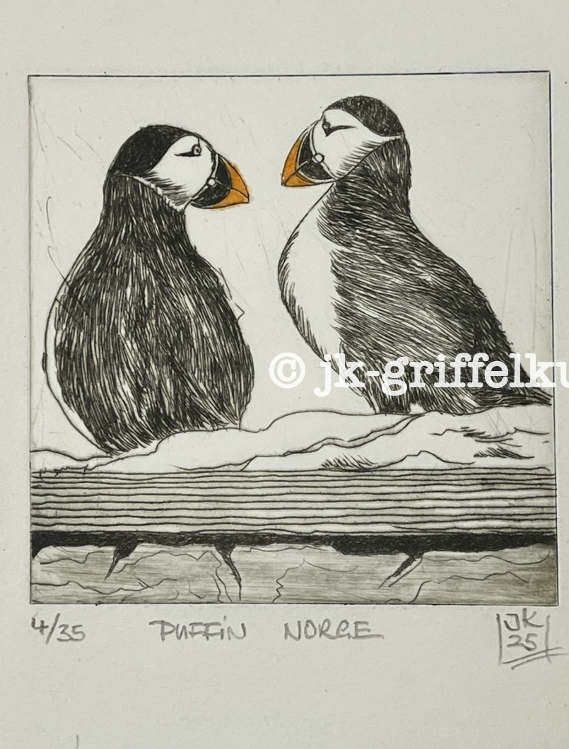 Originaradierung Puffin Papageientaucher