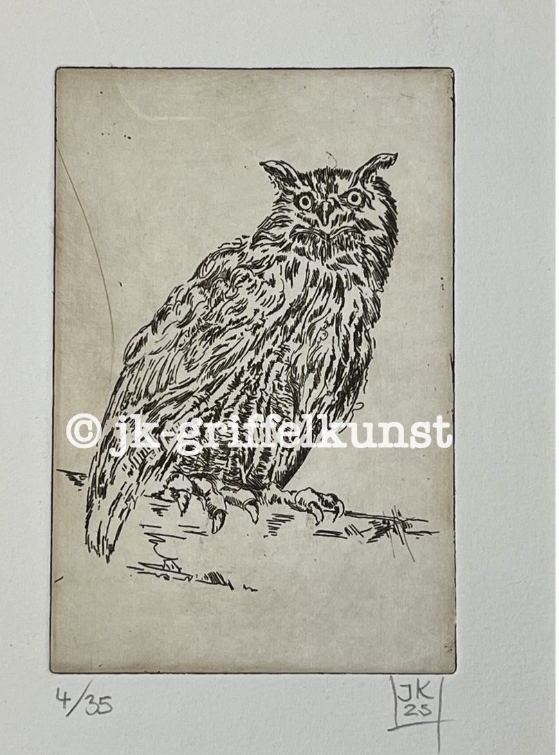 Originalradierung  Eule