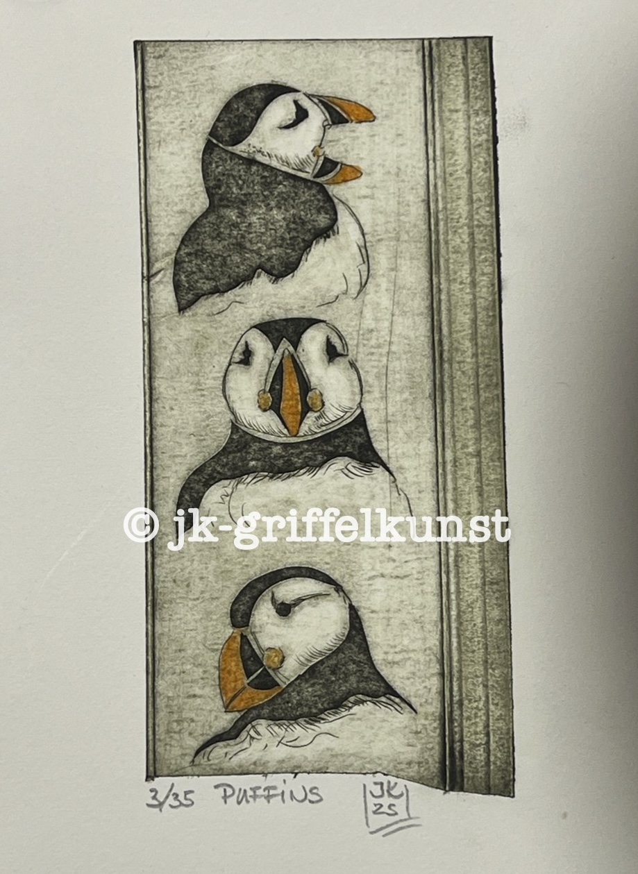 Originalradierung Puffins ( Papageientaucher)