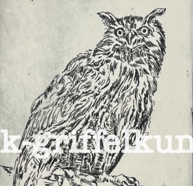 Originalradierung  Eule