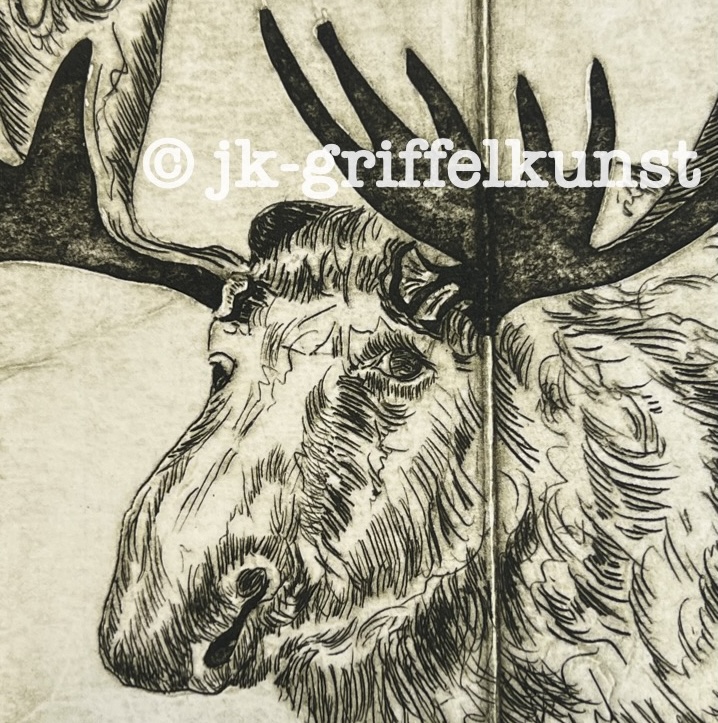 Originalradierung Elch Norge