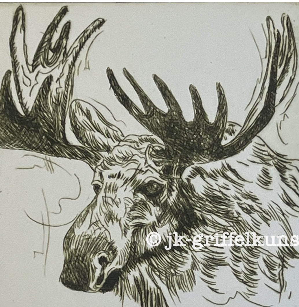 Originalradierung Elch