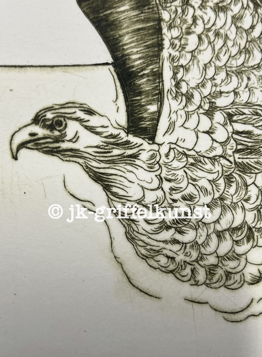 Originalradierung Seeadler