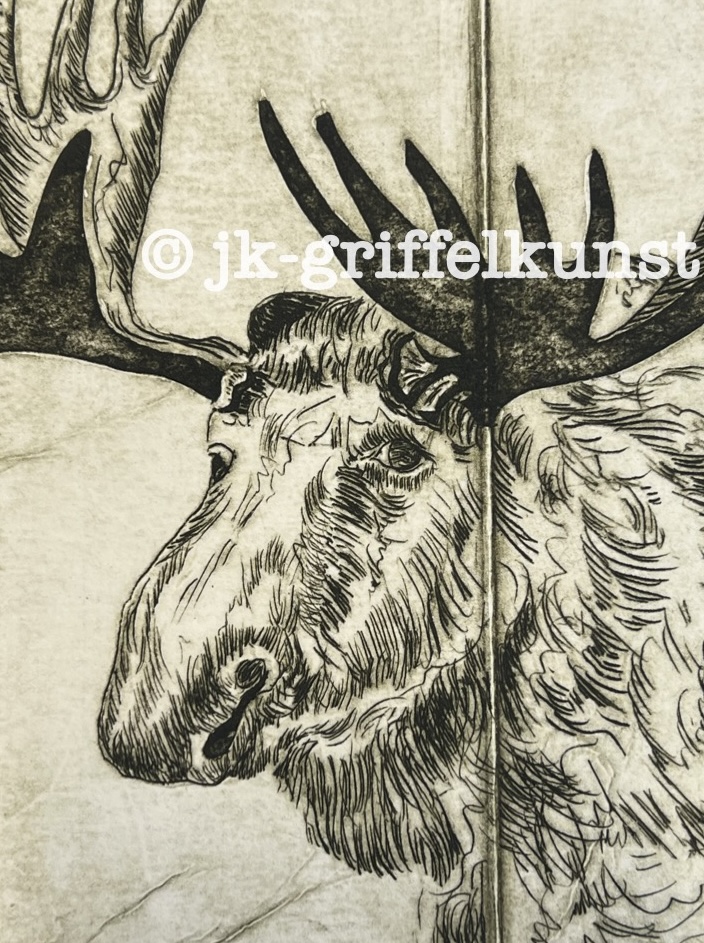 Originalradierung Elch Norge