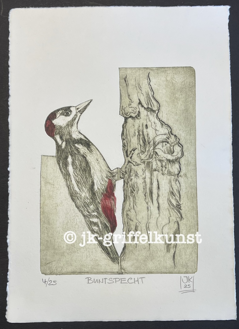 Originalradierung Buntspecht
