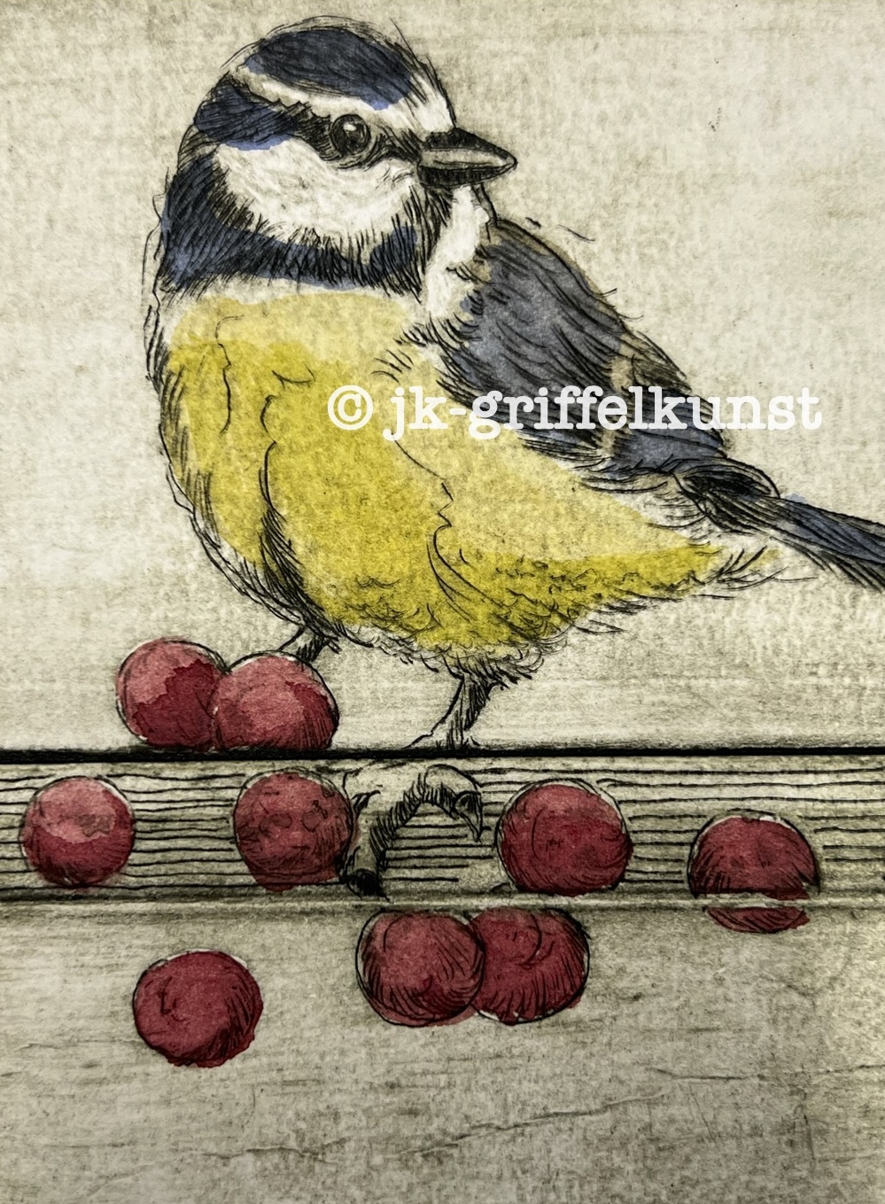 Originalradierung Blaumeise