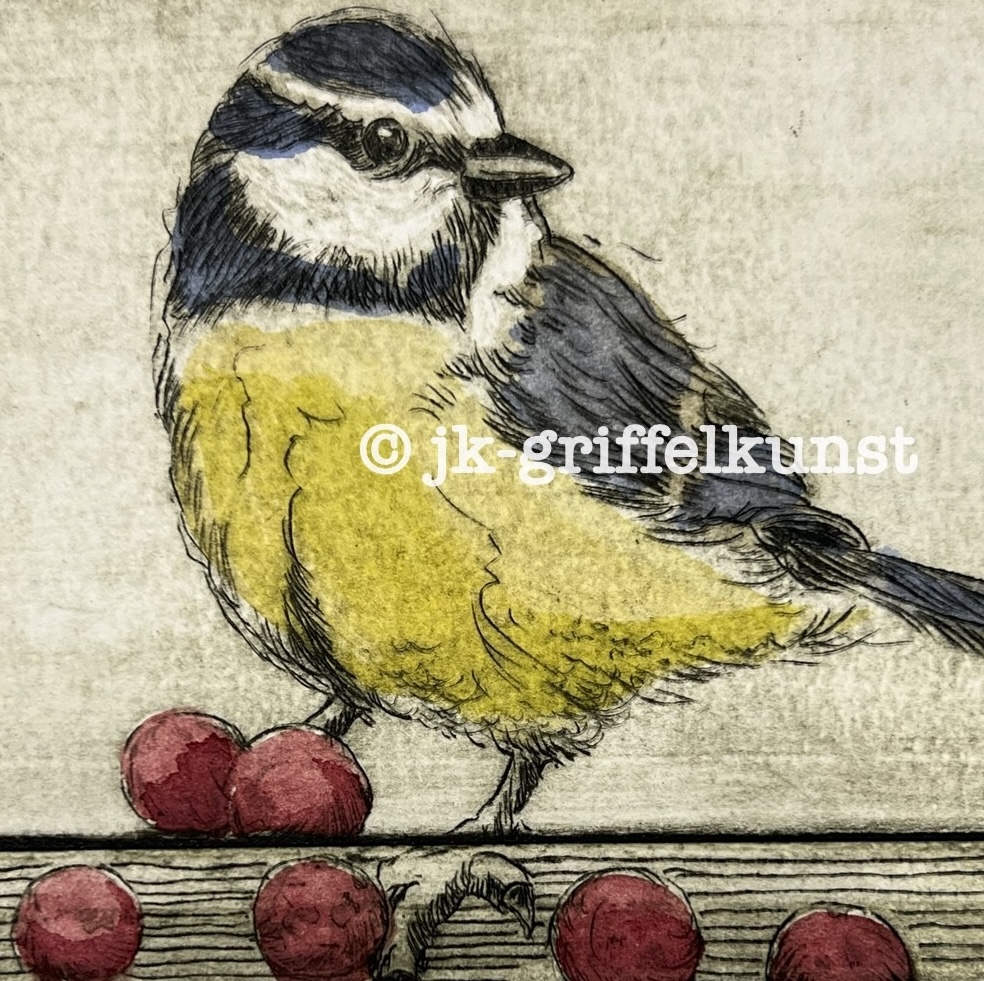 Originalradierung Blaumeise