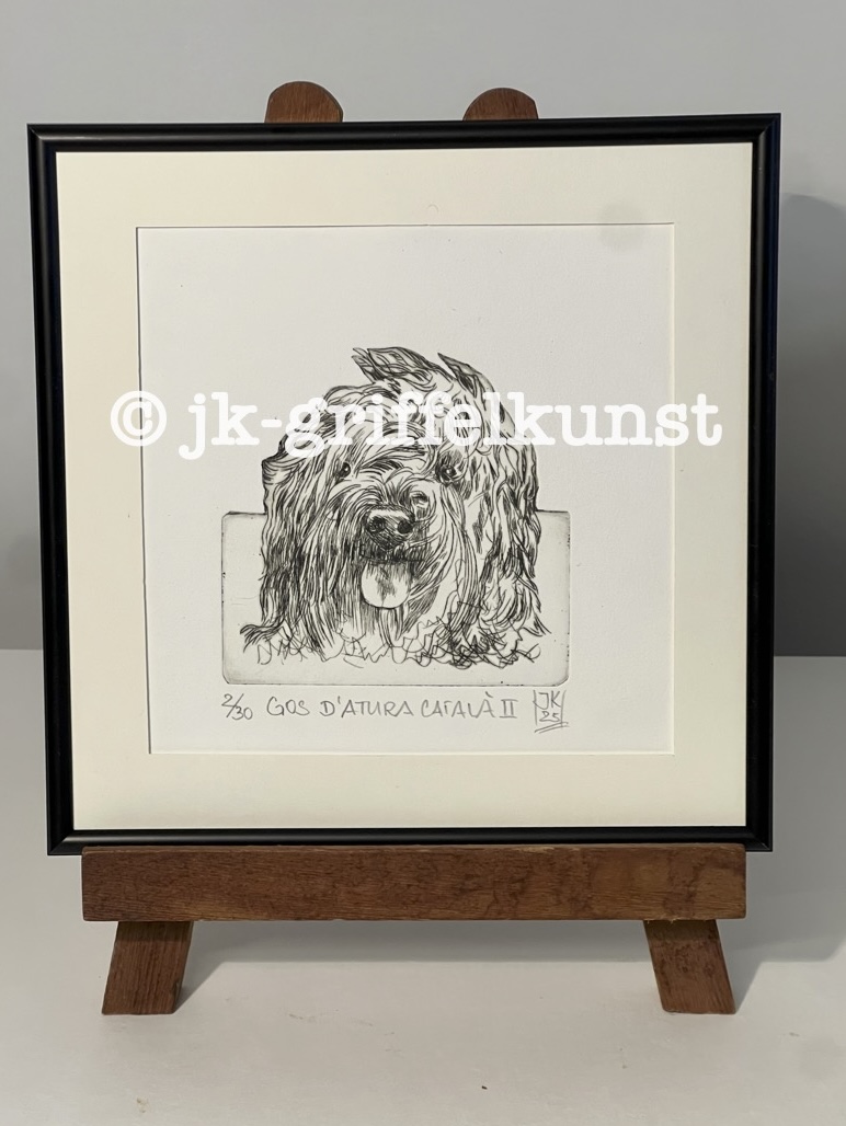 Originalradierung  Gos d’Atura Català ll