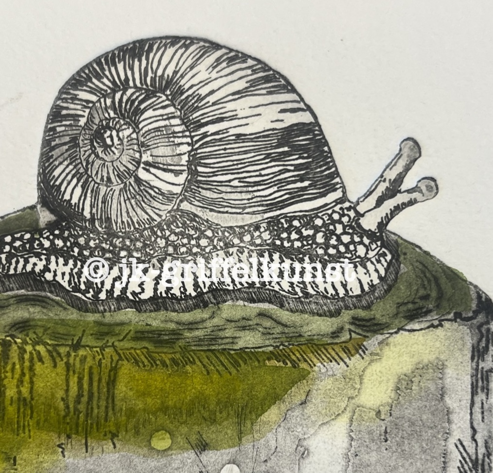 Originalradierung Schnecke