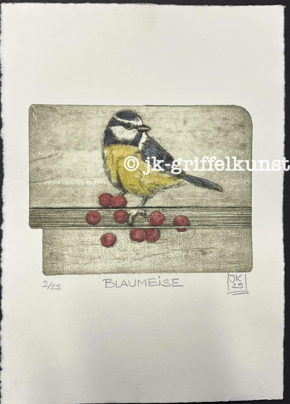 Originalradierung Blaumeise